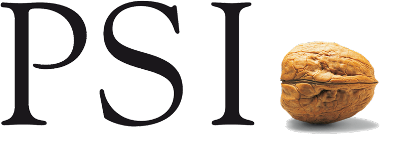 Logo: PSI Software SE Business Unit Discrete Manufacturing